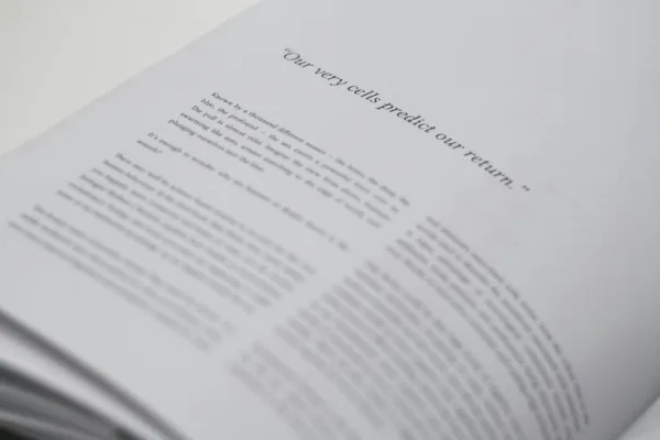 Water Journal is a bi-annual publication exploring the beauty and complexity of all things water. Dedicated to the experience and cultural significance of water, it exists to tell honest stories, whether it’s of a personal matter or on a global scale. Featured essay: Kristina Chelberg
