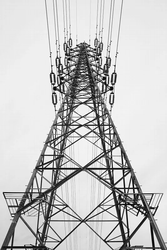 Telephone pole